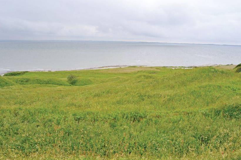 Foto von Ferienhaus CA45 in Ejsingholm - Thy/Limfjord