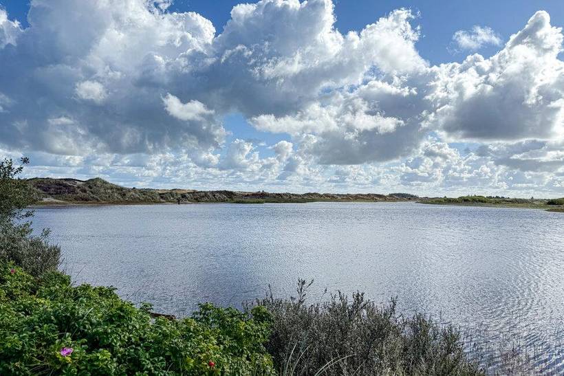 Foto von Ferienhaus CA57 in Grærup - Vejers Strand - Westjütland