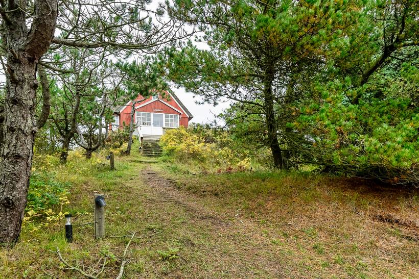 Foto von Ferienhaus CA62 in Vejers Strand - Westjütland
