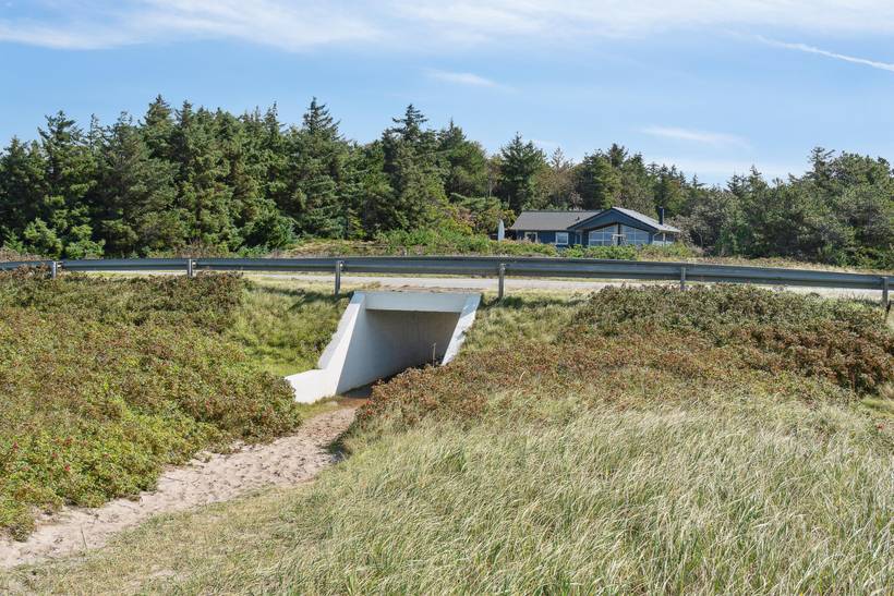 Foto von Ferienhaus CA95 in Trend - Thy/Limfjord