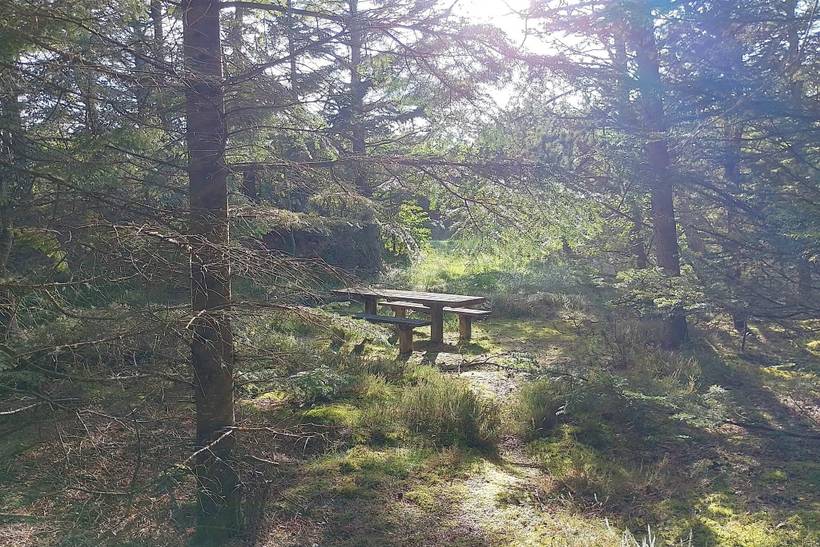 Foto von Ferienhaus CB59 in Lild - Thy/Limfjord