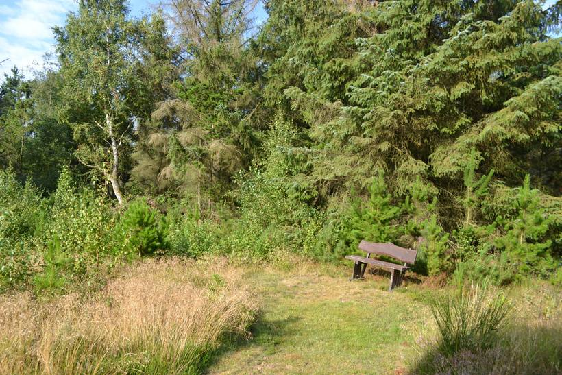 Foto von Ferienhaus CB68 in Kongsmark - Rømø