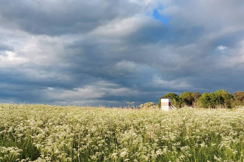 Foto von Ferienhaus CC16 auf Præstø - Südseeland