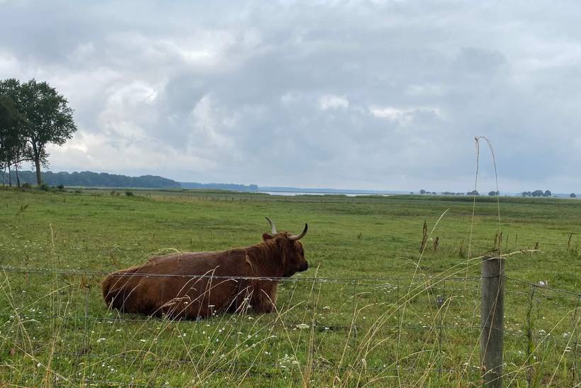 Foto von Ferienhaus CC16 auf Præstø - Südseeland