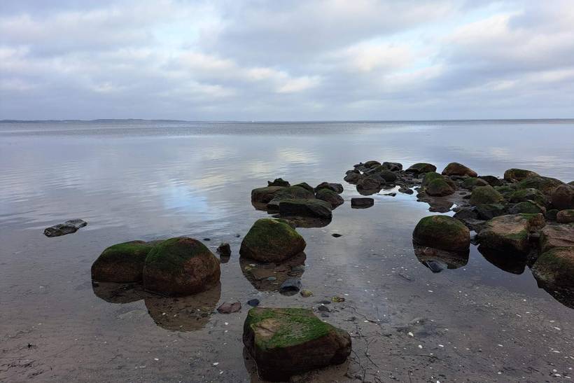 Foto von Ferienhaus CC85 auf Præstø - Südseeland