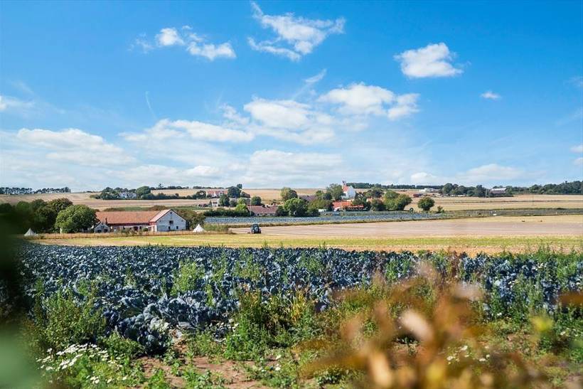 Foto von Ferienhaus CD60 in Mårup - Samsø