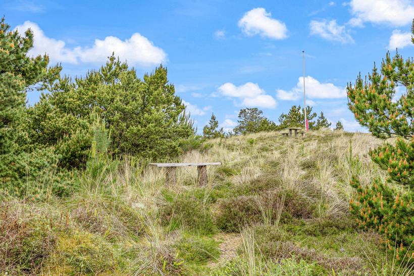 Foto von Ferienhaus CD80 in Søndervig - Westjütland