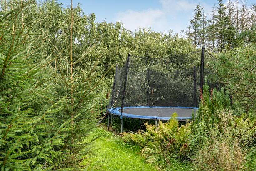 Foto von Ferienhaus CD81 in Trend - Thy/Limfjord