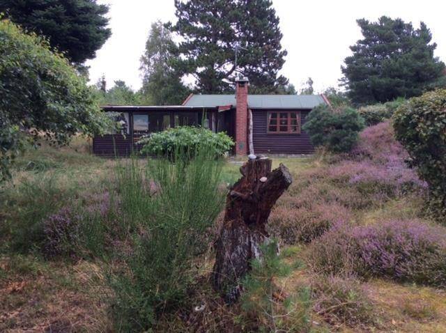 Foto von Ferienhaus CE85 in Nordstrand - Rørvig - Westseeland