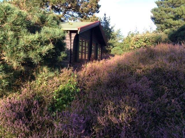 Foto von Ferienhaus CE85 in Nordstrand - Rørvig - Westseeland