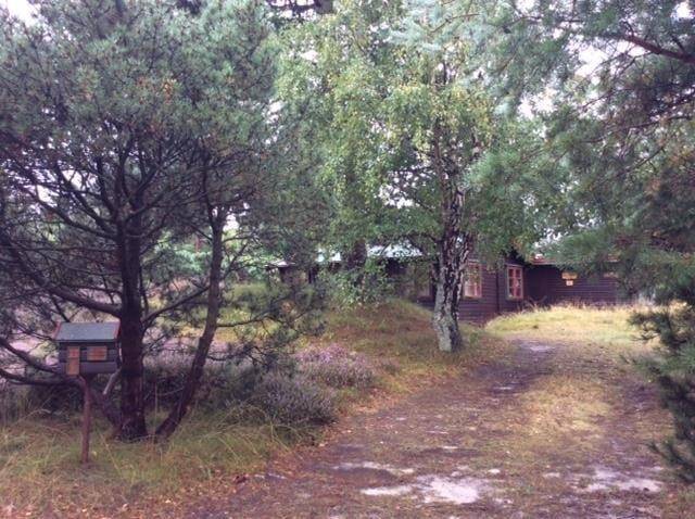 Foto von Ferienhaus CE85 in Nordstrand - Rørvig - Westseeland
