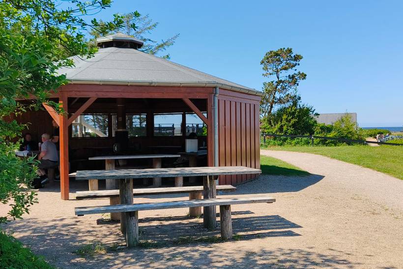 Foto von Ferienhaus CF11 in Skaven - Westjütland