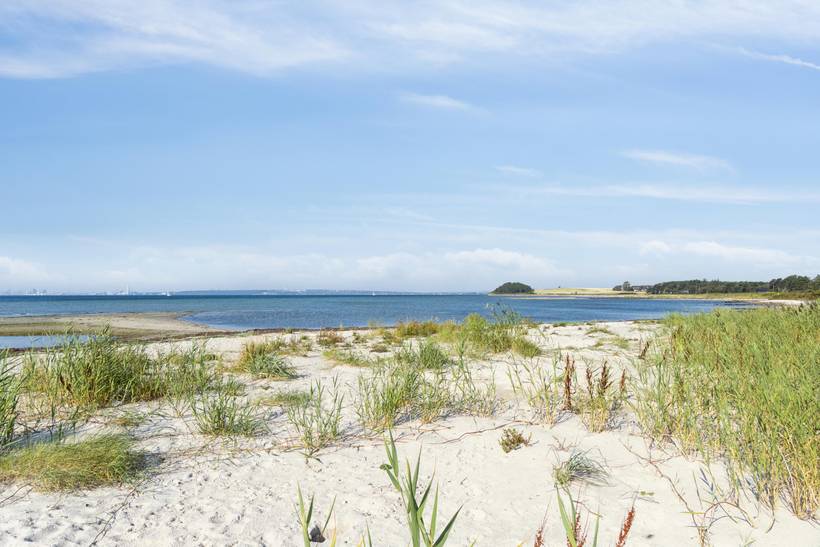 Foto von Ferienhaus CF21 in Skødshoved - Mols - Ostjütland