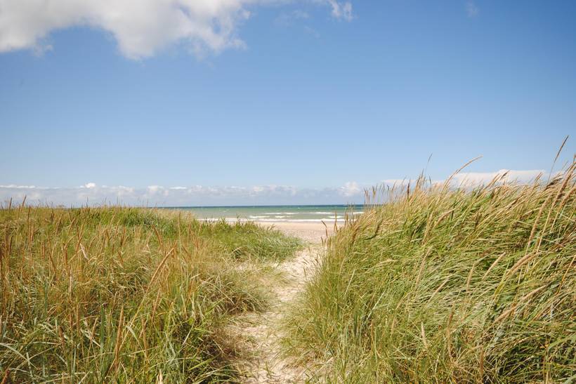 Foto von Ferienhaus CF41 in Slettestrand - Nordjütland