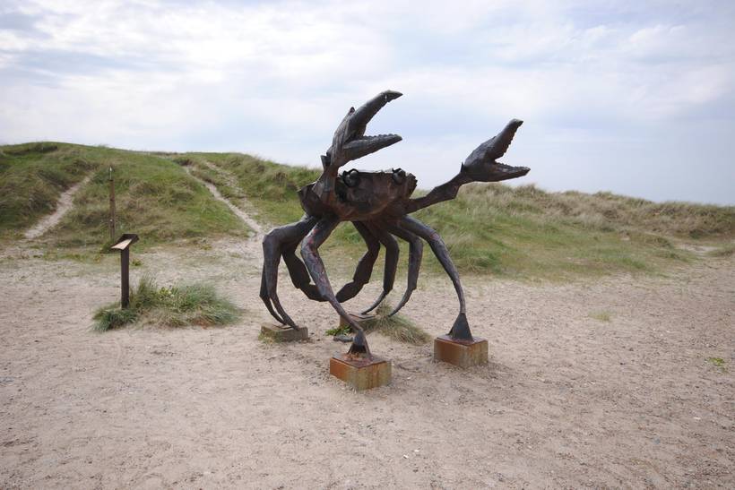 Foto von Ferienhaus CF41 in Slettestrand - Nordjütland