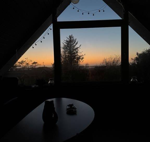 Foto von Ferienhaus CG14 in Fjand - Westjütland