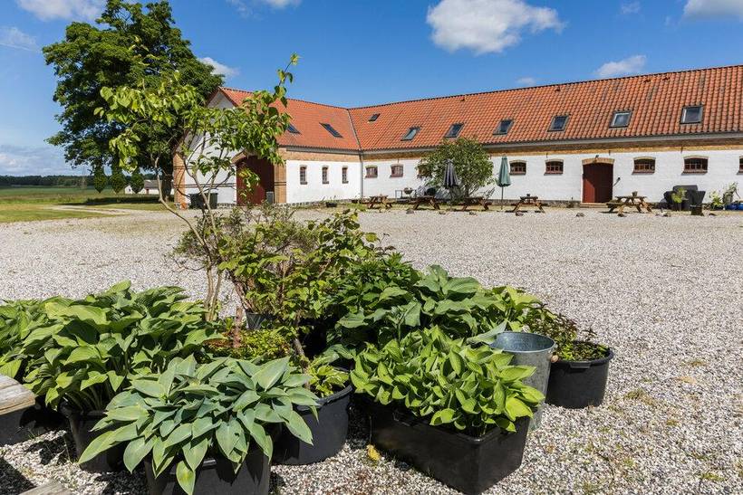 Foto von Ferienhaus CG34 in Grenå - Ostjütland