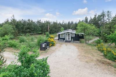 Vorschaubild von Ferienhaus CG83 in Henne Strand - Westjütland