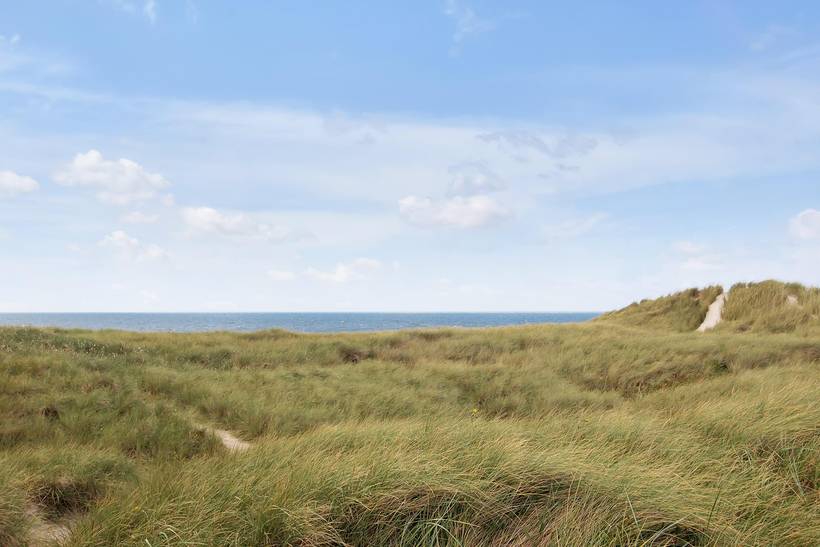 Foto von Ferienhaus CG83 in Henne Strand - Westjütland