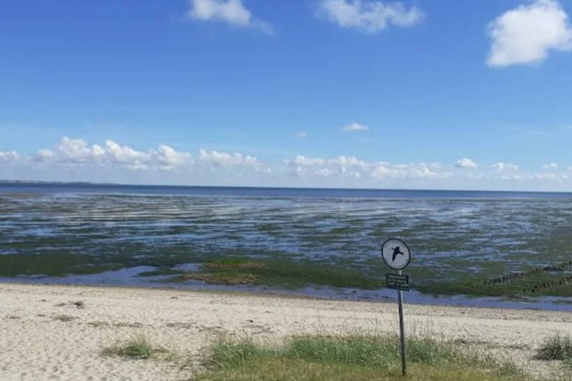 Foto von Ferienhaus CH19 in Havneby - Rømø