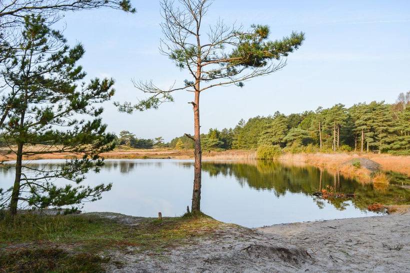 Foto von Ferienhaus CH53 in Kongsmark - Rømø