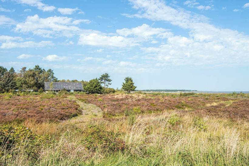 Foto von Ferienhaus CH63 in Havneby - Rømø