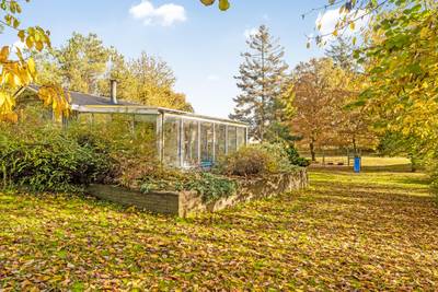 Vorschaubild von Ferienhaus CH97 in Ertebølle - Thy/Limfjord