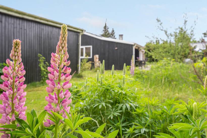 Foto von Ferienhaus CI22 in Bisnap - Hou - Nordjütland Ost
