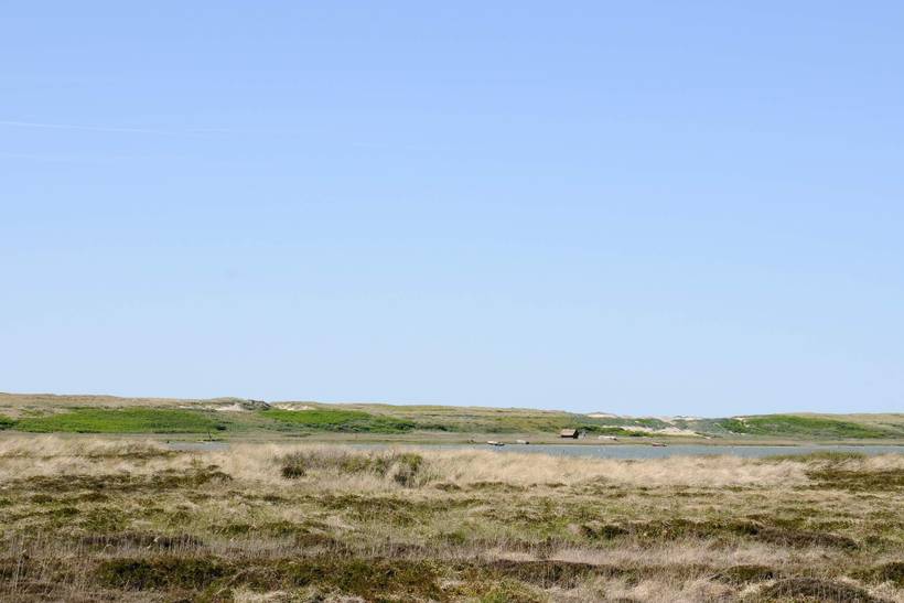 Foto von Ferienhaus CI29 in Ferring - Vejlby Klit - Westjütland