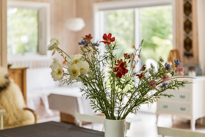Foto von Ferienhaus CI80 in Rørvig - Westseeland