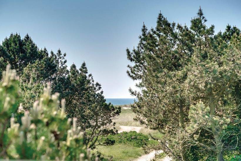 Foto von Ferienhaus CJ09 in Blåvand - Westjütland