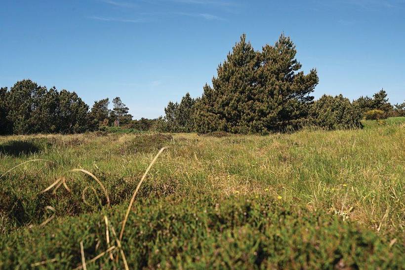 Foto von Ferienhaus CJ09 in Blåvand - Westjütland