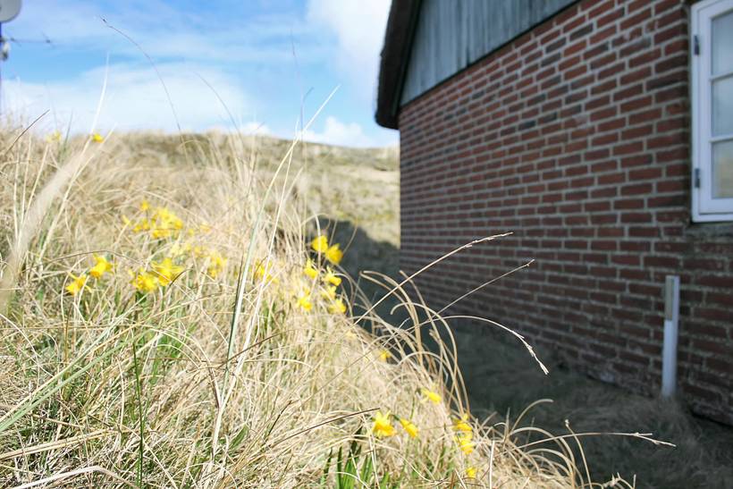 Foto von Ferienhaus CJ31 in Sønderho - Fanø