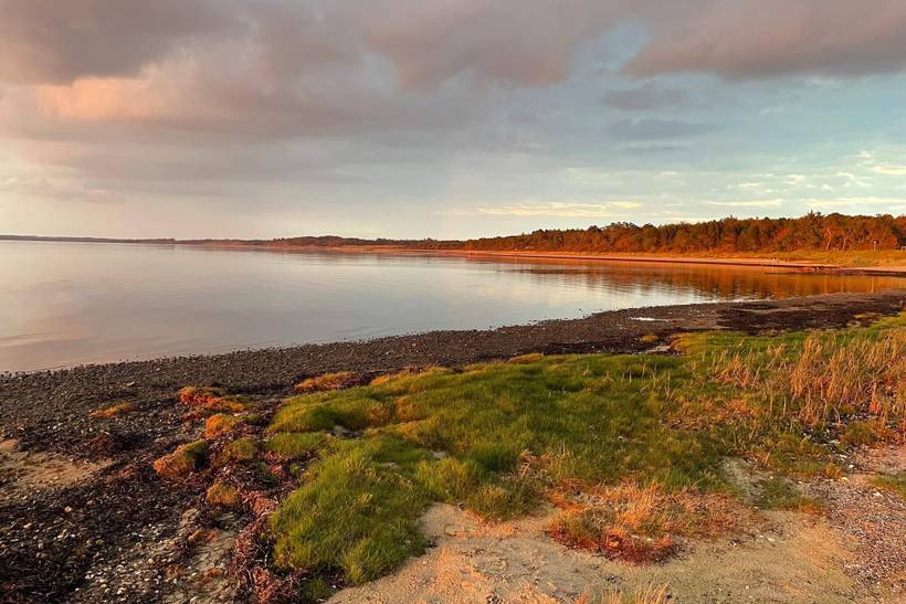 Foto von Ferienhaus CJ39 in Hvalpsund - Thy/Limfjord