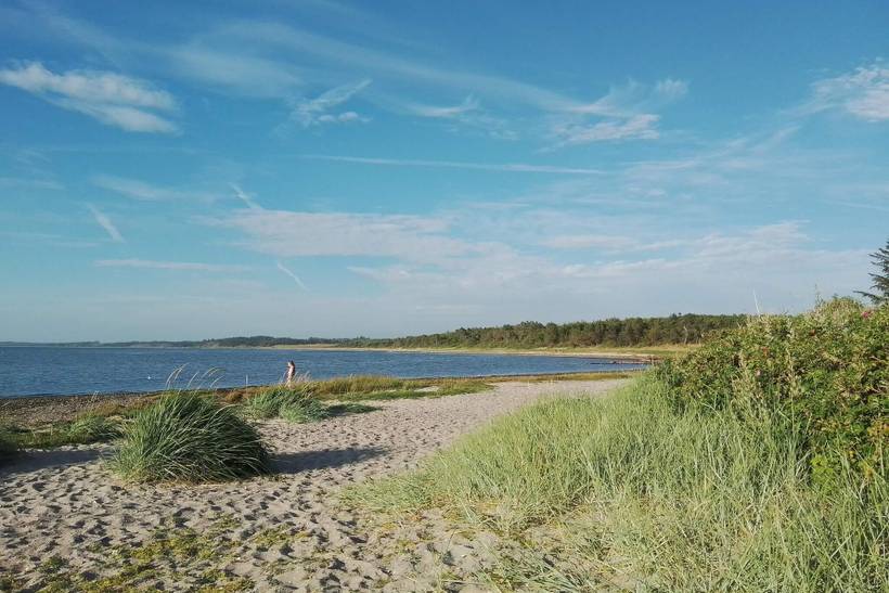 Foto von Ferienhaus CJ39 in Hvalpsund - Thy/Limfjord