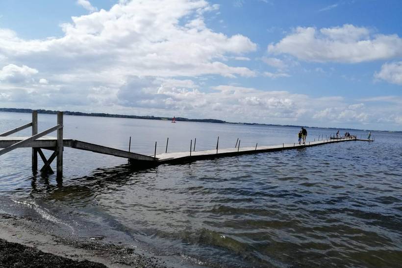 Foto von Ferienhaus CJ39 in Hvalpsund - Thy/Limfjord