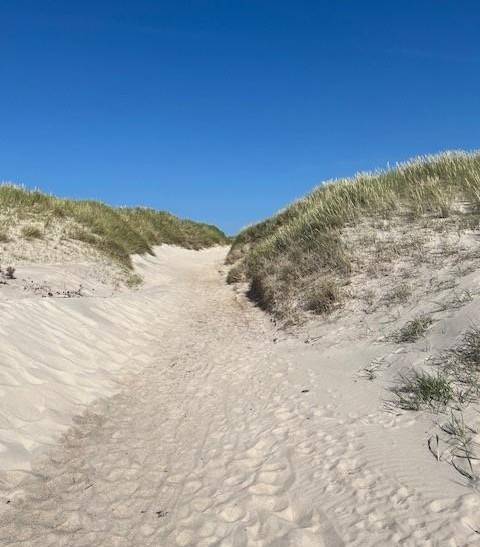 Foto von Ferienhaus CJ51 in Vejlby Klit - Westjütland