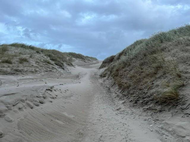 Foto von Ferienhaus CJ51 in Vejlby Klit - Westjütland