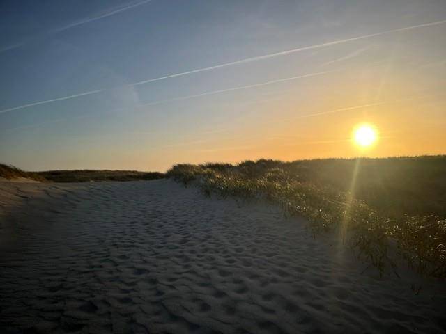 Foto von Ferienhaus CJ51 in Vejlby Klit - Westjütland