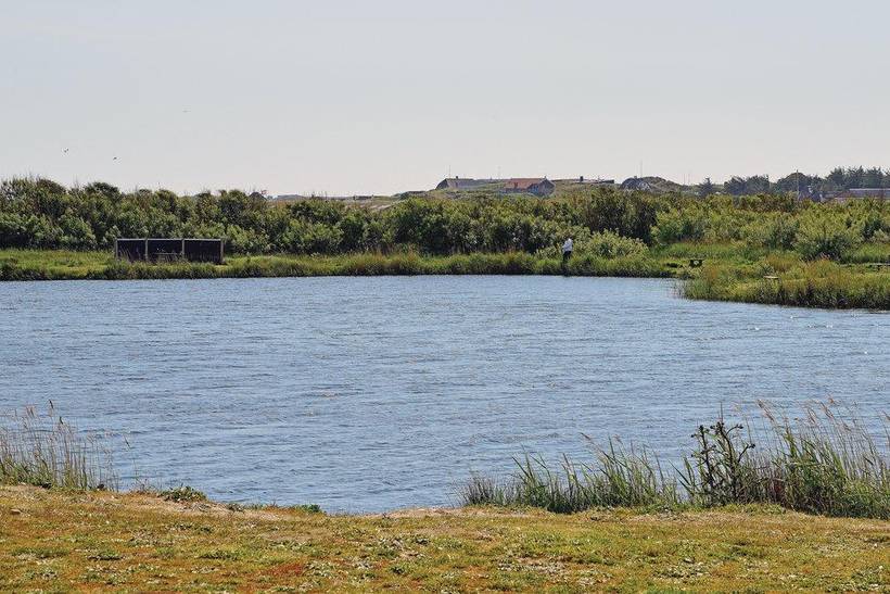 Foto von Ferienhaus CK17 in Lodbjerg Hede - Søndervig - Westjütland