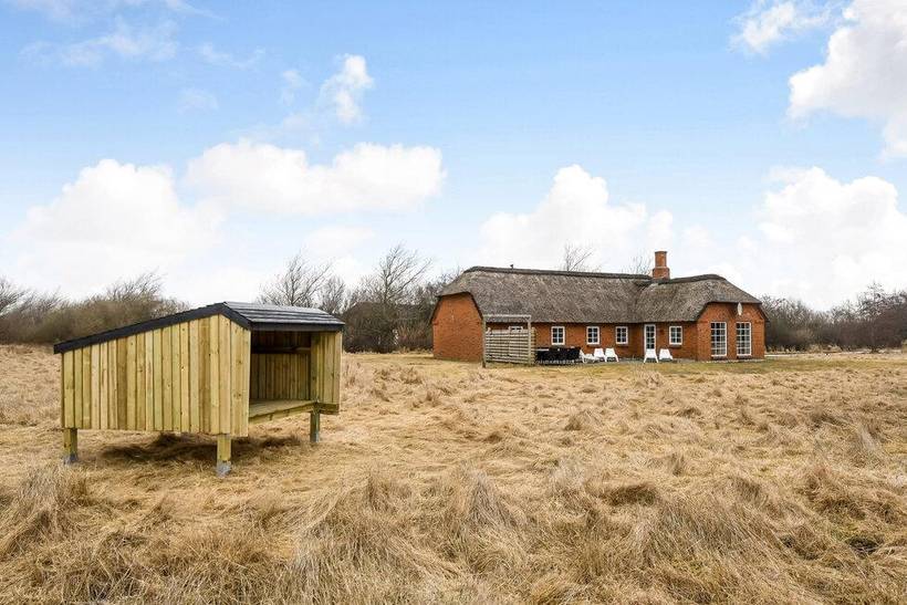 Foto von Ferienhaus CK36 in Vester Husby - Westjütland