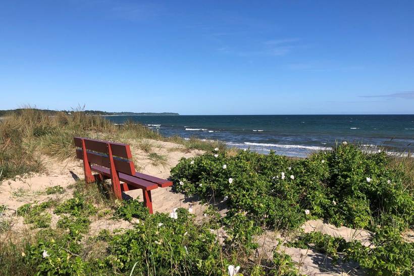 Foto von Ferienhaus CL49 in Hornbæk - Nordseeland