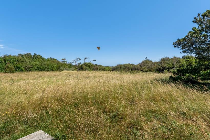 Foto von Ferienhaus CL53 in Kandestederne - Skagen - Nordjütland