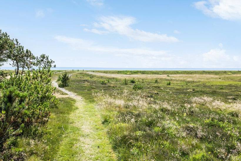 Foto von Ferienhaus CL61 in Helligsø - Thy/Limfjord