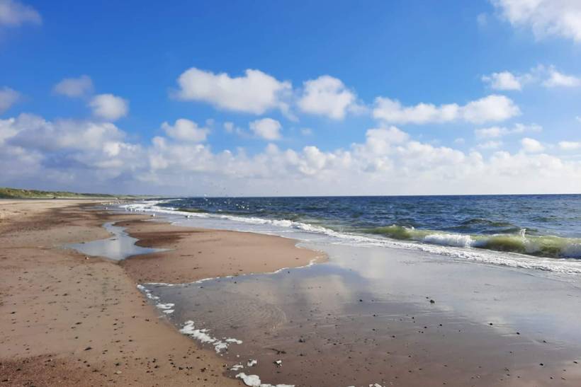 Foto von Ferienhaus CM59 in Henne Strand - Westjütland