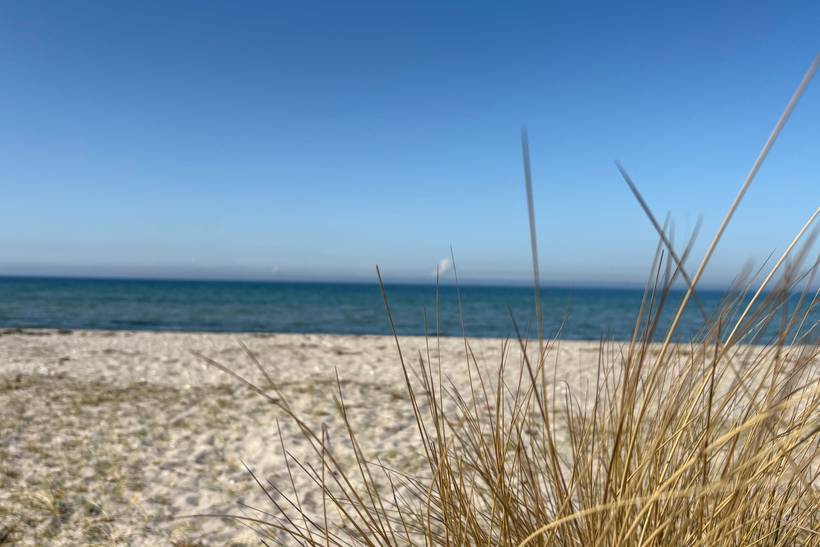 Foto von Ferienhaus CN05 in Bjerge - Westseeland