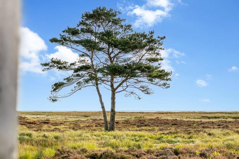 Foto von Ferienhaus CN32 in Hou - Nordjütland Ost