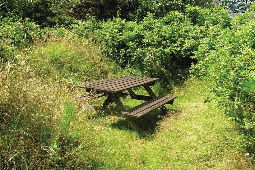 Foto von Ferienhaus CN44 in Blåvand - Westjütland