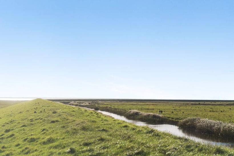 Foto von Ferienhaus CO01 in Mandø - Südjütland