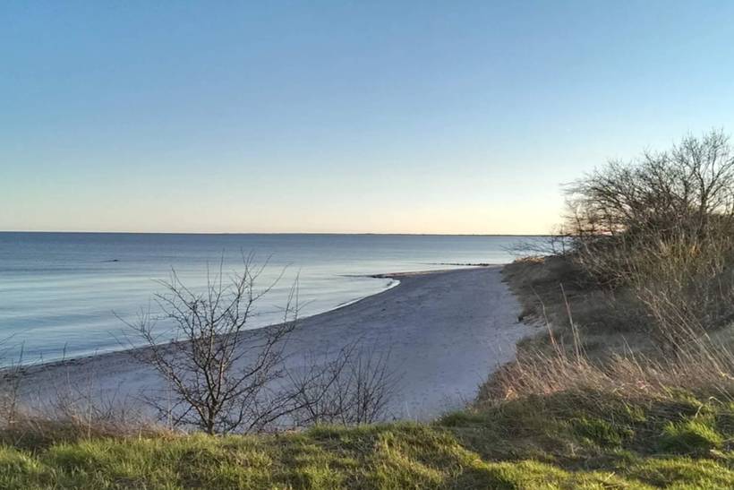 Foto von Ferienhaus CO10 in Marielyst - Falster